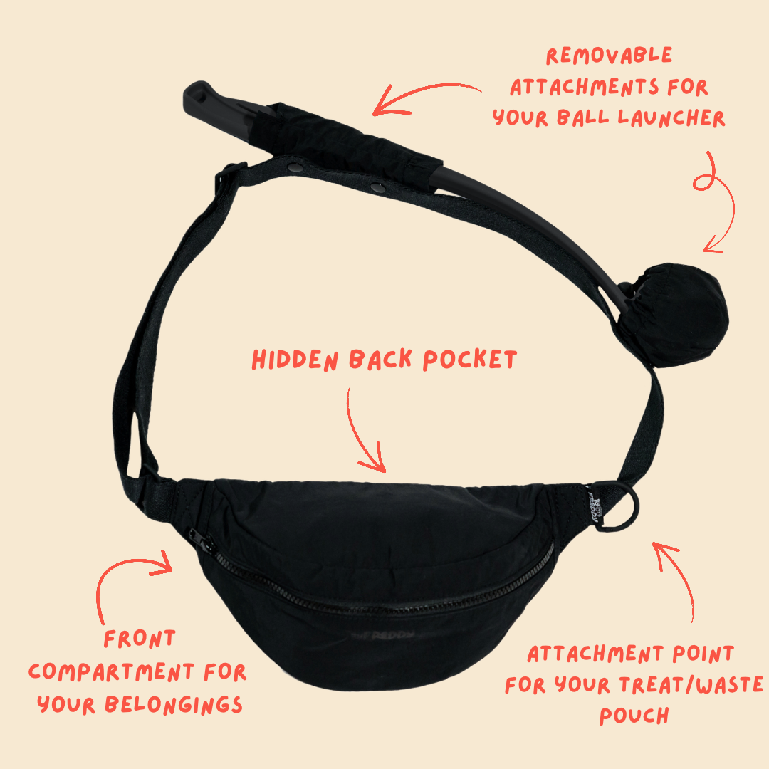 So Fetch Cross Body Bag Black
